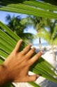 Petit guide de survie dans la jungle de le-commerce